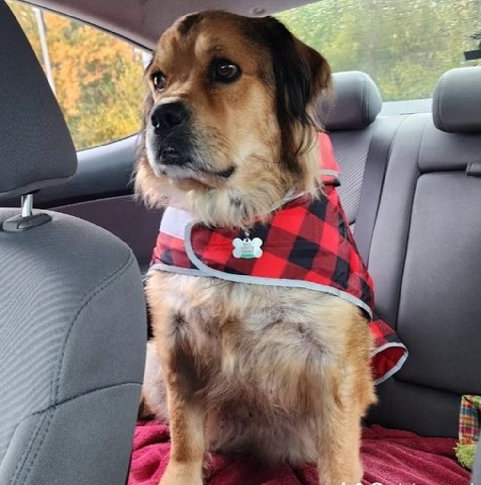 Meet your Posher, Nicky